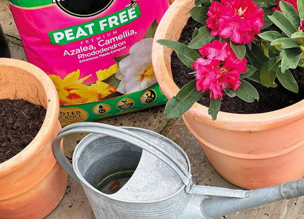 Miracle-Gro Peat Free Azalea Camellia Rhododendron Ericaceous Potting Compost 10 Litre Bag