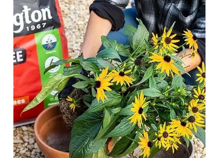 Levington Peat Free Multi-Purpose Compost - 10 Litre