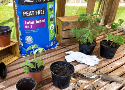 Levington Peat Free John Innes No.2, 25 Litre - Perfect for Repotting Young Plants, Vegetables, Pots & Tubs