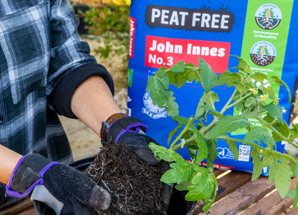 Levington Peat Free John Innes No.3, 25 Litre - Perfect for final potting of plants into Pots or Outdoor Containers, Brown 121130