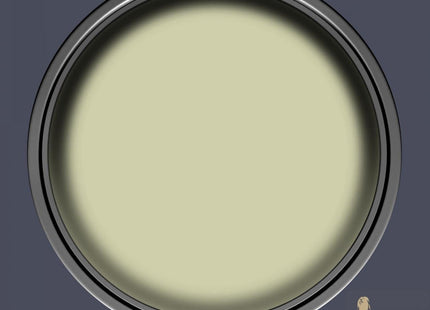 Dulux Heritage Velvet Matt Emulsion Tester Pot 125ml - Pale Olivine