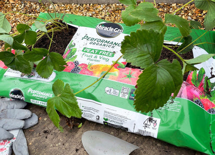 Miracle-Gro Performance Organics Peat Free Fruit & Veg Planter - 2 Plant Size