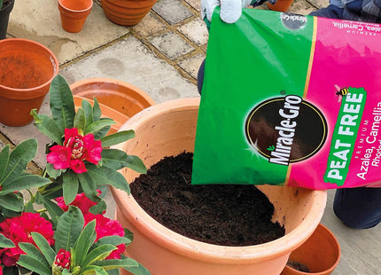 Miracle-Gro Peat Free Premium Azalea, Camellia, Rhododendron, Special Plants Compost, 40 Litre, Brown 119994