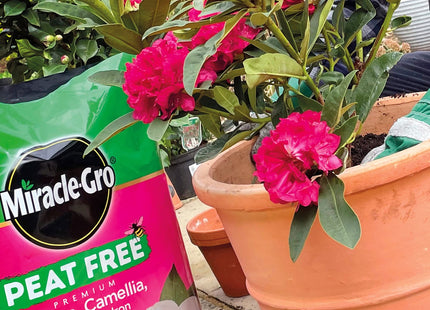 Miracle-Gro Peat Free Premium Azalea, Camellia, Rhododendron, Special Plants Compost, 40 Litre, Brown 119994