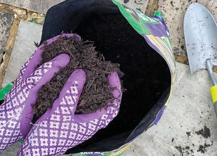 Miracle-Gro Premium Bulb Fibre Compost, Peat Free, 20 Litre Bag, (New 2020 Range), Purple 119785