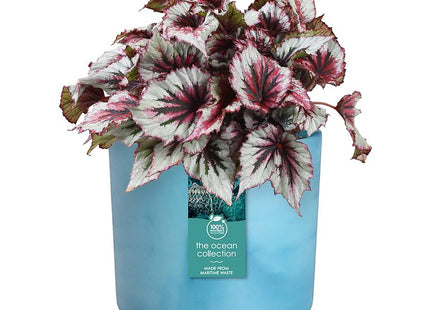 Elho The Ocean Collection Round 14cm Flower Pot - Atlantic Blue