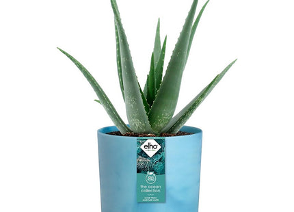 Elho The Ocean Collection Round 18cm Flower Pot - Atlantic Blue