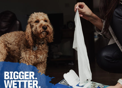 UltraGrime Pet Cleaning Wet Wipes for Dogs & Cats - Extra Large Dog Wipes for Paws, Eyes & Ears - Gentle Pet Grooming Wipes for White 40 Wipes 5470