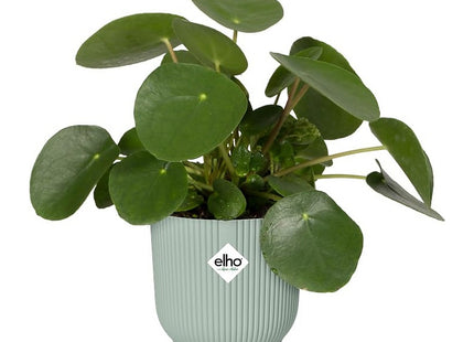 Elho Vibes Fold Round 16cm Flower Pot - Sorbet Green