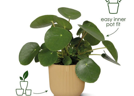 Elho Vibes Fold Round 18cm Flower Pot - Sorbet Green
