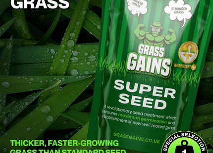 Grass Gains Lawn Seed Pet and Child-Friendly Gardens 1kg