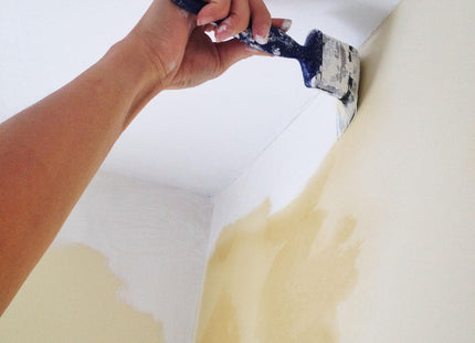 Crown Multi Surface Stain Block Primer & Undercoat, 750ml, White, Interior & Exterior