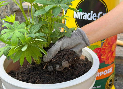 Miracle-Gro Peat Free Premium All Purpose Compost, 75 Litre