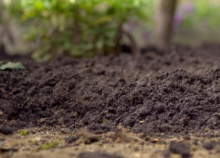 Miracle-Gro Peat Free Premium Garden Soil, 30 Litre