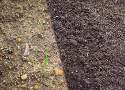 Levington Composted Bark, 50 Litre, Soil Enricher