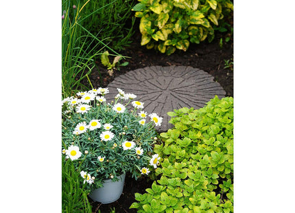 Primeur Stepping Stone Cracked Log Earth Recycled Rubber 45 x 45cm P00014780