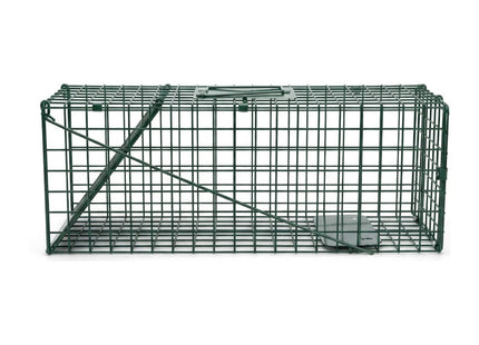STV The Big Cheese Live Animal Trap Indoor and Outdoor use, 60 cm x 19 cm