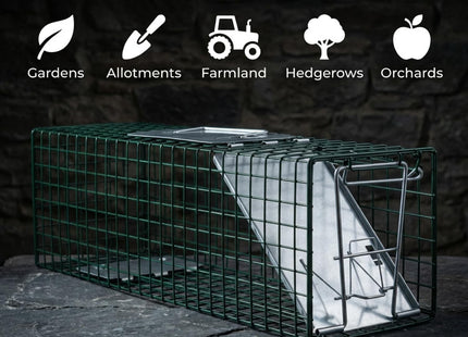 STV The Big Cheese Live Animal Trap Indoor and Outdoor use, 60 cm x 19 cm