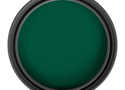Ronseal One Coat Everywhere Paint Evergreen Matt 2.5 Litre