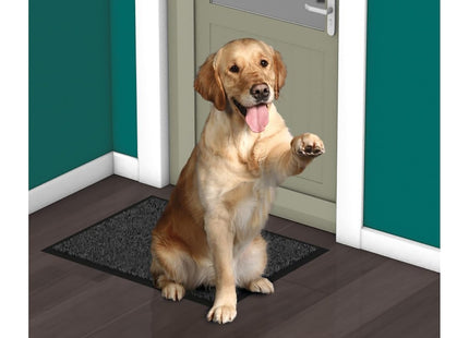 HG Pet Wipes Alcohol-Free, Safe & Gentle Wet Wipes for Dogs