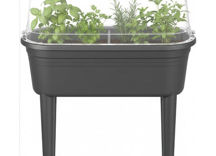 Elho Florus Grow Table Set Planter - Anthracite