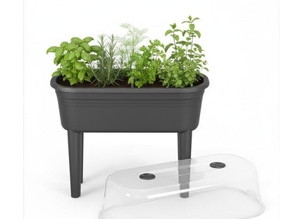 Elho Florus Grow Table Set Planter - Anthracite