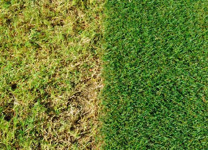 Miracle-Gro Complete 4 in 1 Lawn Food, Weed and Moss Control 400m2 14kg