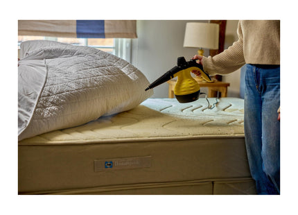 STV Zero In Household Pest Killer - Bed Bug & Dust Mite Steam Killer Chemical-Free Pest Control