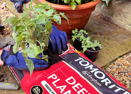 Levington Tomorite Deep Planter, Enriched with Tomorite Plant Food, with added Seaweed, 46 Litre bag