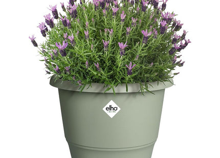 Elho Amiga Round 30cm Flower Pot - Thyme Green