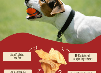 The Buffalo Co. Buffalo Ears for Dogs 10 Pack Natural Grass-Fed Dog Treats