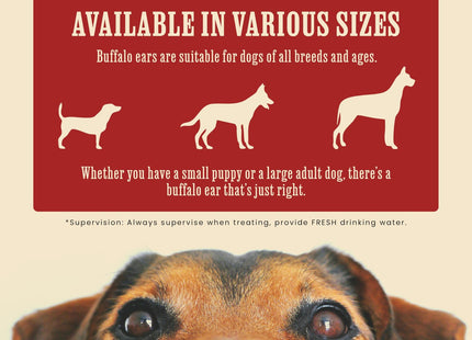 The Buffalo Co. Buffalo Ears for Dogs 10 Pack Natural Grass-Fed Dog Treats