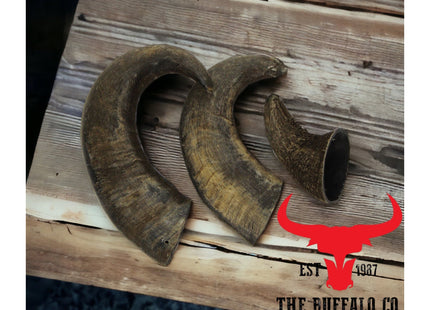 The Buffalo Co. Buffalo Horns for Dogs Small 4-5 Inch Natural Dog Chews
