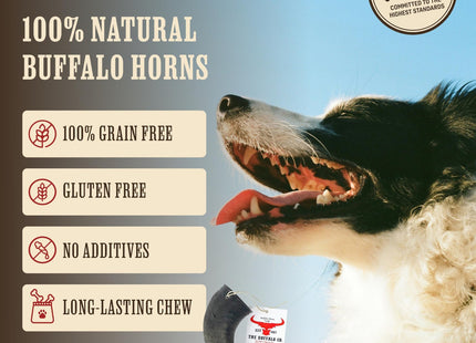 The Buffalo Co. Buffalo Horns for Dogs Large 6-8 Inch Natural Dog Chews