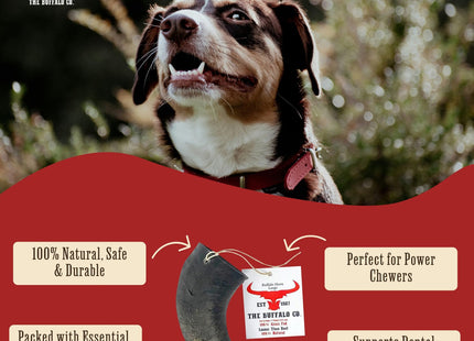The Buffalo Co. Buffalo Horns for Dogs Large 6-8 Inch Natural Dog Chews