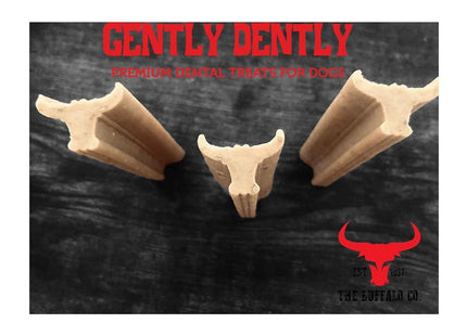 The Buffalo Co. Gently Dently Dog Treats (Salmon)
