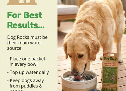 Dog Rocks - Urine Patch Preventer (200g) / Natural Dog Urine Neutraliser for Water Bowls, Grass Repair, Urine Burn Patch Repair