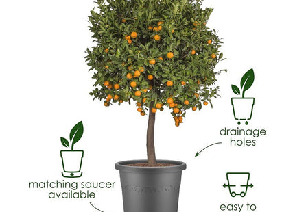 Elho Algarve Cilindro 48cm Flower Pot - Thyme Green