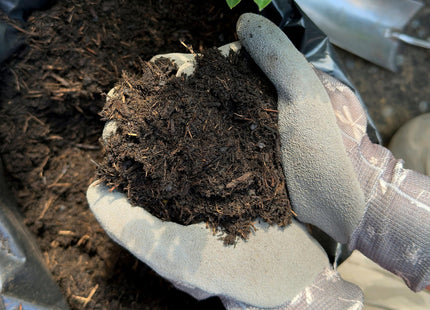 Miracle-Gro Premium All Purpose Compost, Peat Free, 40 Litre