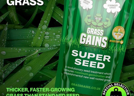 Grass Gains Lawn Seed Pet and Child-Friendly Gardens 500g
