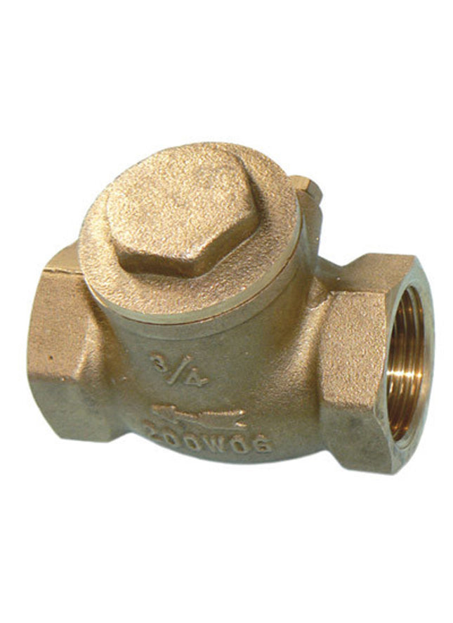 Primaflow Vch Horiz Swing Check Valve FxF 1" - CV1