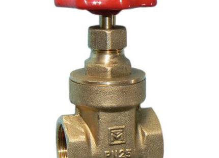 Primaflow VGFM Brass Gate Valve 3/4" FxF - 102414 - Reliable Plumbing Solution