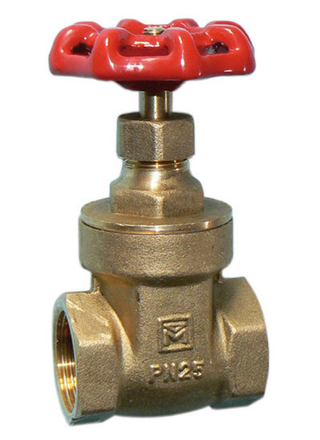 Primaflow VGFM Brass Gate Valve 1" FxF - 102419 - Reliable Plumbing Solution