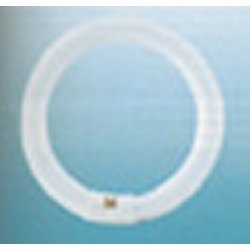 Generic LP9660 Circular Triphosphor Tube 32w 12 Inch White