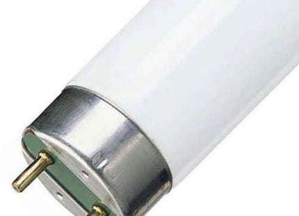 Philips 830 Fluorescent Light Bulb 58 Watt TL-D