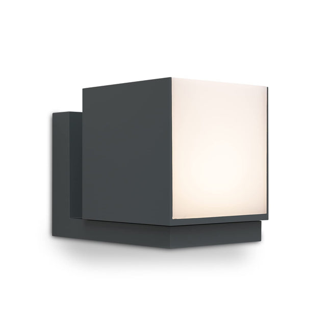 Lutec Cuba Outdoor Wall Light