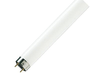 LAMP, T8, 1500MM, 58W, 4000K 63219740 By PHILIPS