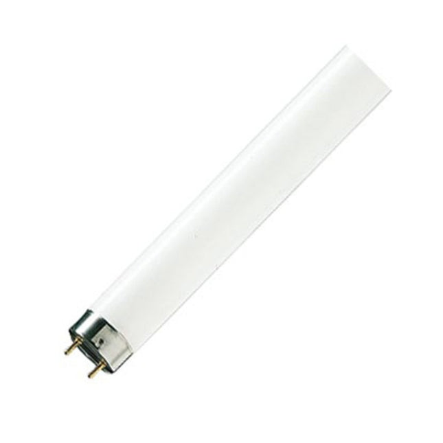 LAMP, T8, 1500MM, 58W, 4000K 63219740 By PHILIPS