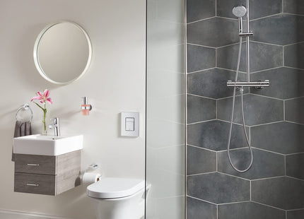 Grohe 40367001 Essentials Paper Holder with Lid Silver