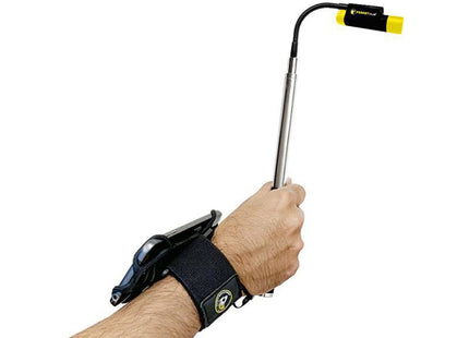 Ferret Ferret Wristband